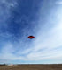 free shipping 4m glider kites for adults kites flying reel professional wind kites paraglider wing outdoor toys weifang kites