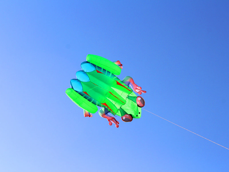 free shipping frog kite flying soft kite for adults kite line windsurf outdoor toys inflatable kite professional kite reel koi