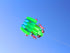 free shipping frog kite flying soft kite for adults kite line windsurf outdoor toys inflatable kite professional kite reel koi
