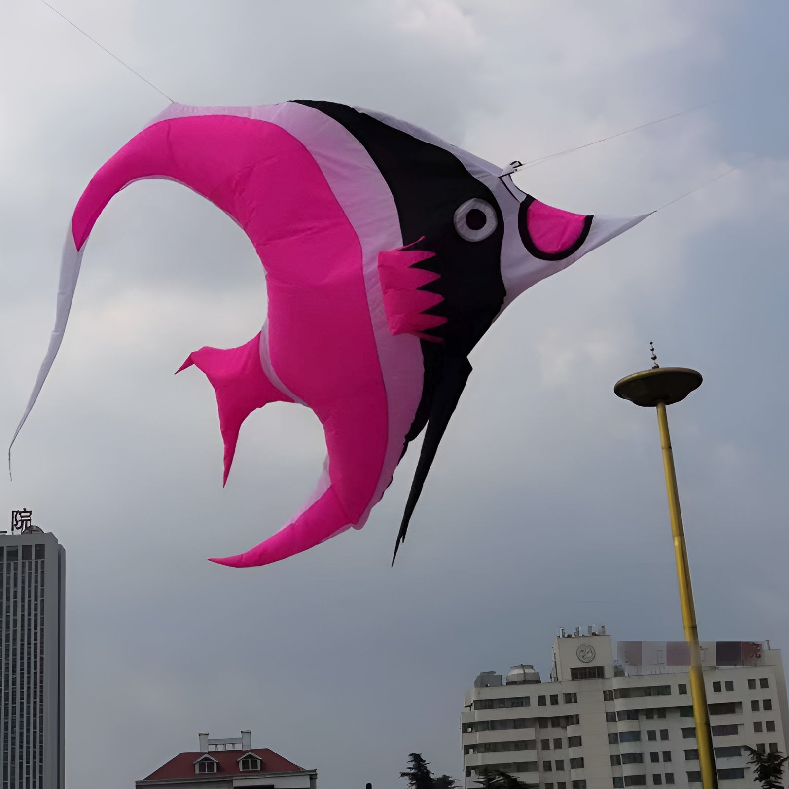 free shipping fish kite flying soft kites parachute kite for adults kites string flying simulator kite buggy indonesia kite line