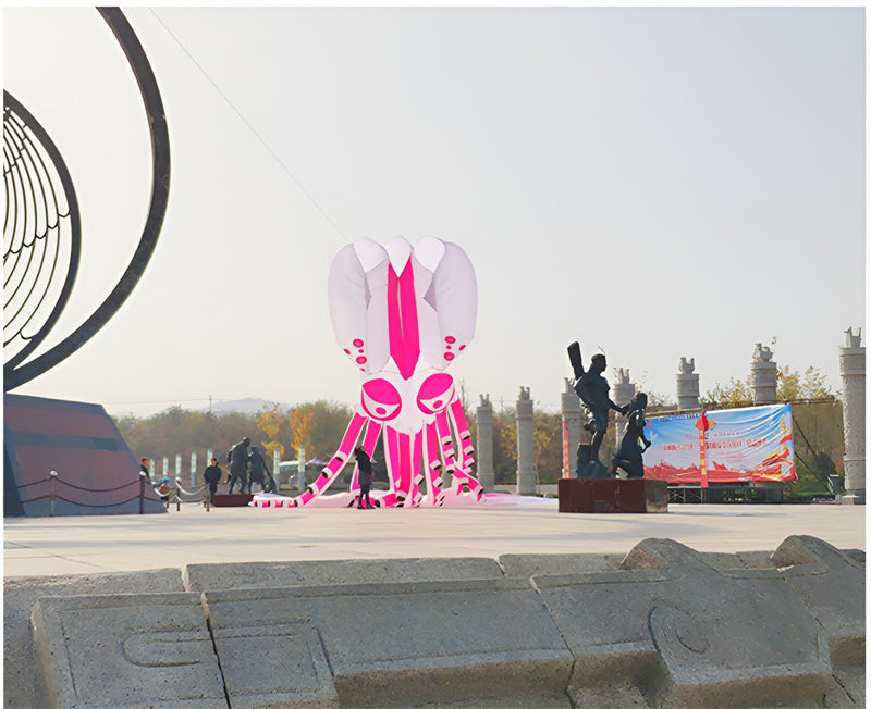 free shipping large octopus kite flying soft kite display kites for adults kites parachute professional kites inflatable kites