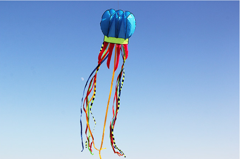 free shipping 8m jellyfish kites flying for adults kites line nylon kites factory professional paragliding inflatable show kites