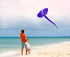 free shipping elephant kite flying soft giant kite reel nylon show kite professional kite a liner parachute windsurfing snake