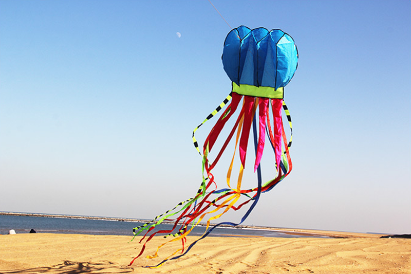 free shipping 8m jellyfish kites flying for adults kites line nylon kites factory professional paragliding inflatable show kites