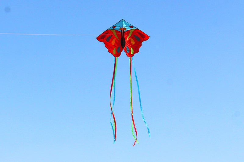 free shipping 5pcs butterfly kites for adults kites reel large kites factory cerf volant paragliding windsurf linha de pipa