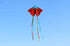 free shipping 220cm butterfly kites for adults kites string line professional winds kites reel parachute ikite factory weifang