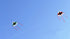 free shipping large bat kite flying children kite reel outdoor sports game kids toys ripstop nylon fabric primaris koinobori