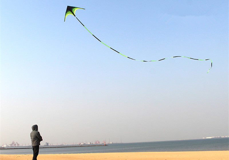 free shipping delta kites 6m tails flying toys for children kites fabric ripstop nylon outdoor sports beach kites factory ikite