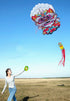 free shipping lucky lion kite flying soft kite for adults kites line traditional kite professional kite inflatable factory koi