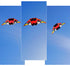 free shipping glider kites for adults kites ripstop nylon kites steering kite professional kite paraglider wing inflatable toys