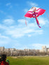 free shipping dragon kites flying toys for kids kites string line eagle kite factory wind kites for children Parachute sports