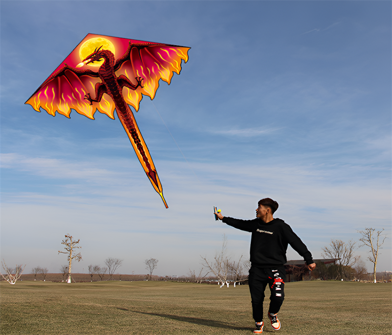 free shipping new flame dragon kite breeze easy to fly children's kite net red kite wheel adult beginner's kite