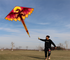 free shipping new flame dragon kite breeze easy to fly children's kite net red kite wheel adult beginner's kite