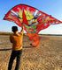 free shipping 100m chinese dragon kite flying handle line large kite snake kites for kids cometas paragliding windsurf