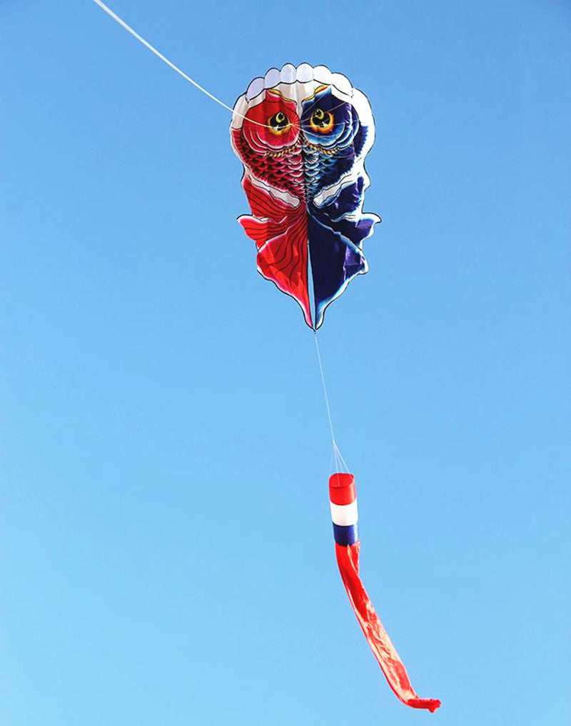 free shipping fish kite flying soft kite for adults inflatable kites windsocks kite parachute professional kite factory sell koi