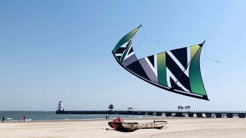 free shipping Freilein kite Windrider III quad line stunt power kite adults kites real parachute fabric kitesurfing outdoor koi
