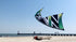 free shipping Freilein kite Windrider III quad line stunt power kite adults kites real parachute fabric kitesurfing outdoor koi
