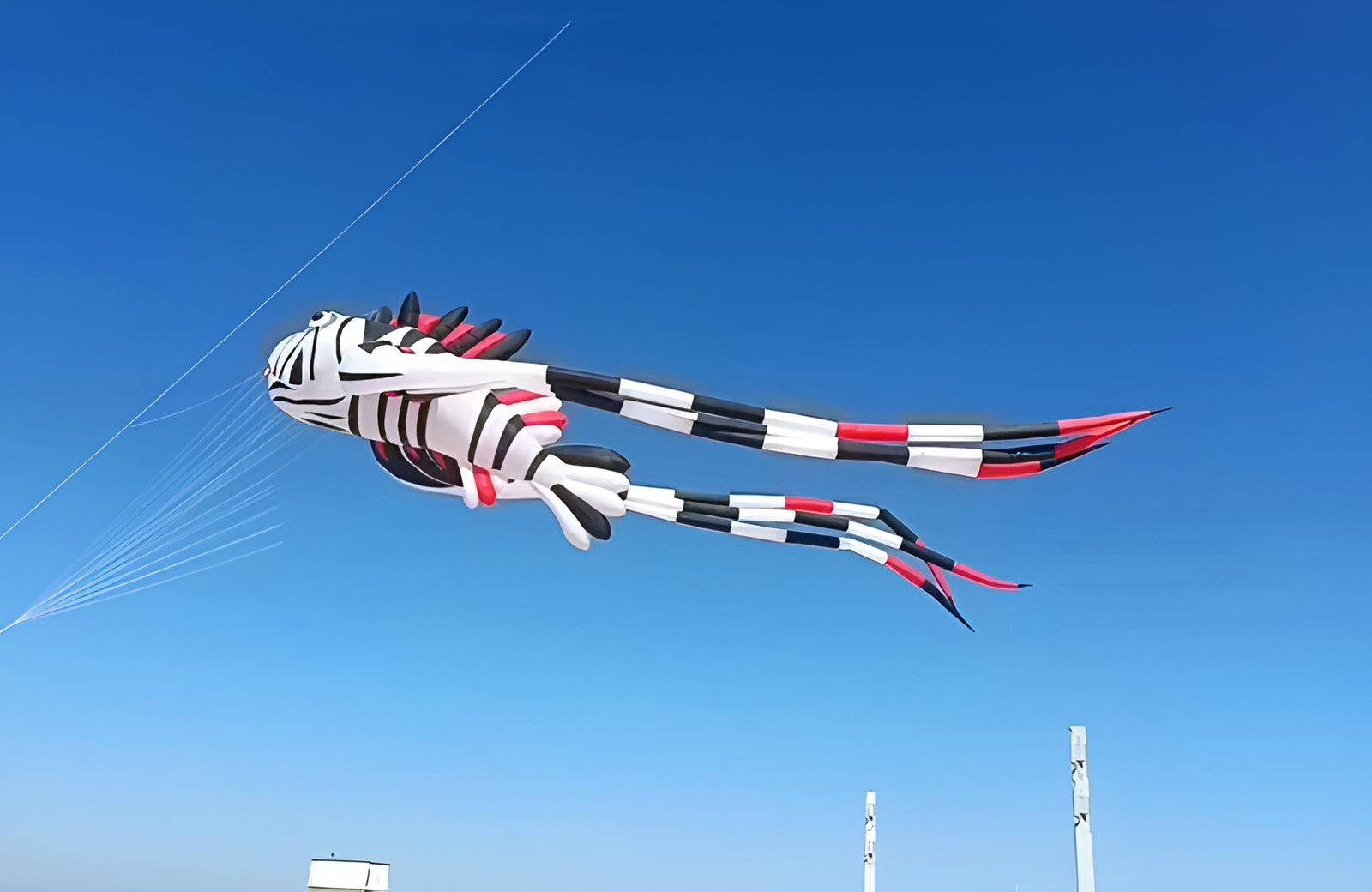 Free Shipping new kites pendant kites shows flying fish kites windsocks Inflatables kites octopus kites trilobites kites factory