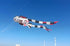 Free Shipping new kites pendant kites shows flying fish kites windsocks Inflatables kites octopus kites trilobites kites factory