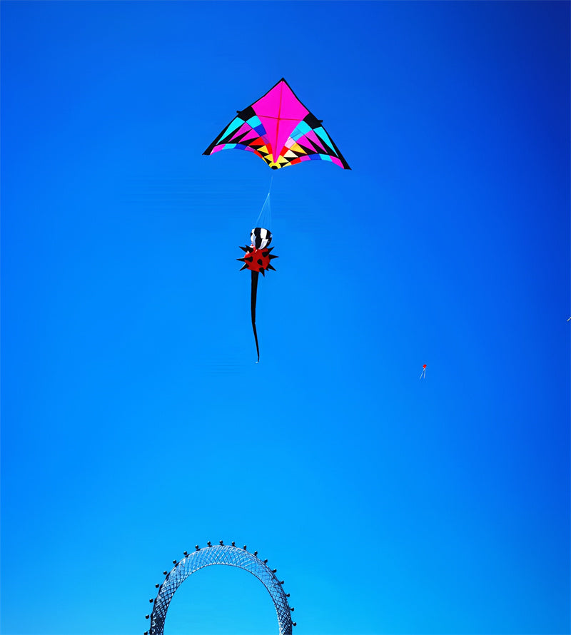 free shipping 3d kites windsocks Prick ball kites flying toys for kids kite large kite tails rainbow kite professional wind kite