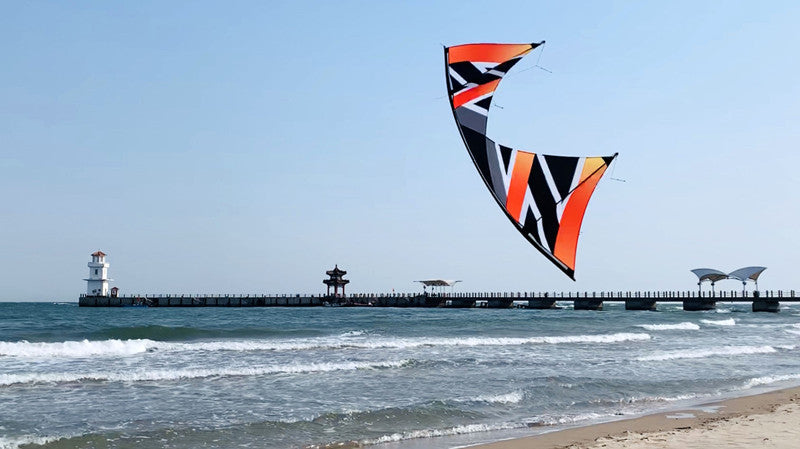 free shipping Freilein kite Windrider III quad line stunt power kite adults kites real parachute fabric kitesurfing outdoor koi