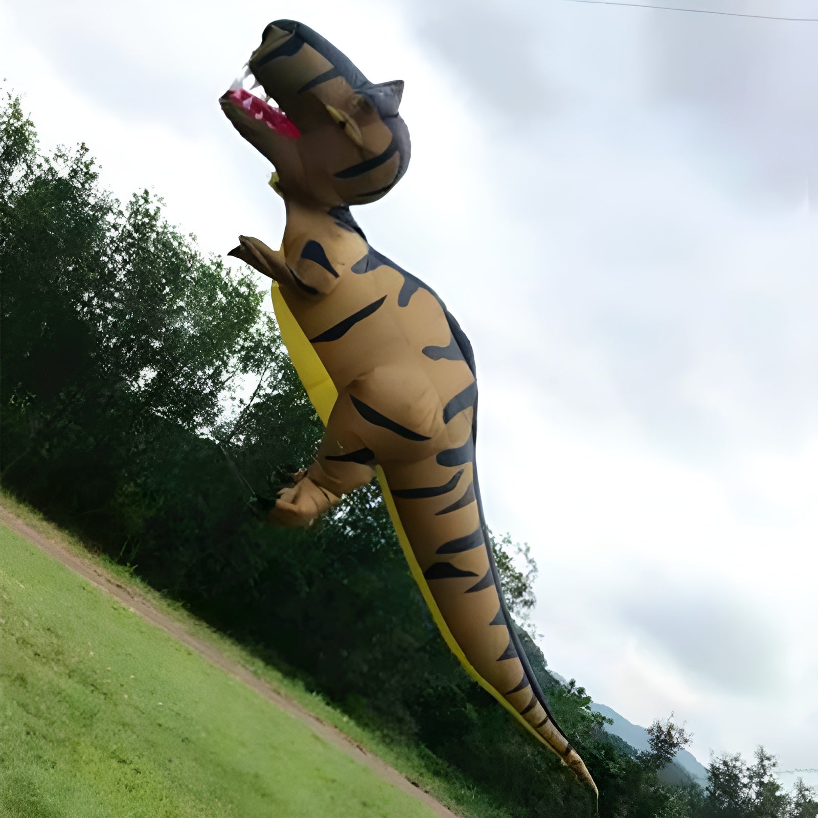 free shipping giant kites flying large dinosaur kite inflatable kite pendant for adults kites octopus kite panda kites soft kite