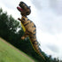 free shipping giant kites flying large dinosaur kite inflatable kite pendant for adults kites octopus kite panda kites soft kite
