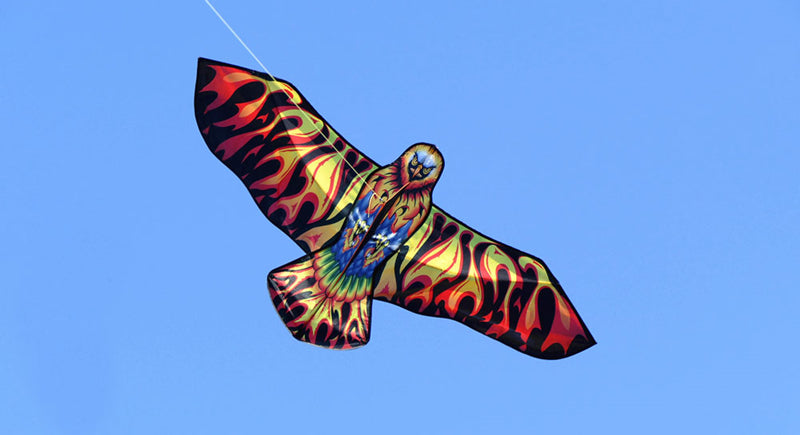 free shipping firebird kite flying children eagle kite toys nylon kites birds kites parachute indonesia line for kite paracaida