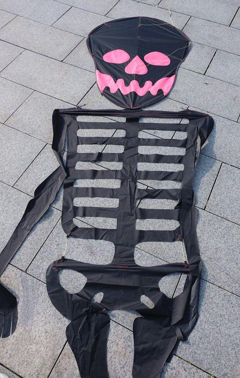Free Shipping Skull kites flying 3d kites for adults inflatable games kite air kites for professional wind power plane kite