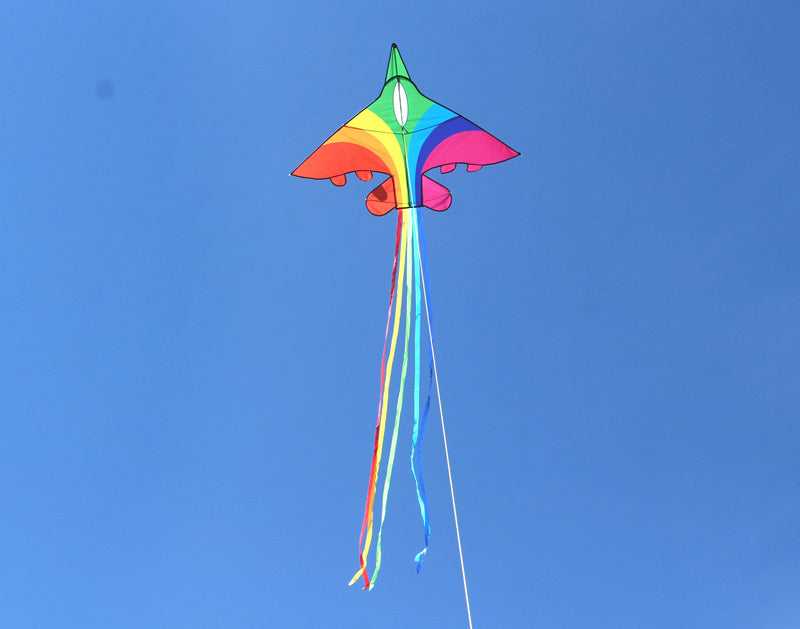 free shipping rainbow plane kites for children kites flying fighter kite line outdoor kites toys professional wind kite factory