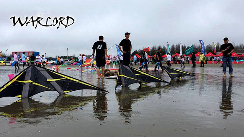 free shipping 240cm warlord dual line stunt kite factory Freilein kite professional wind kites for adults reel Competition kite