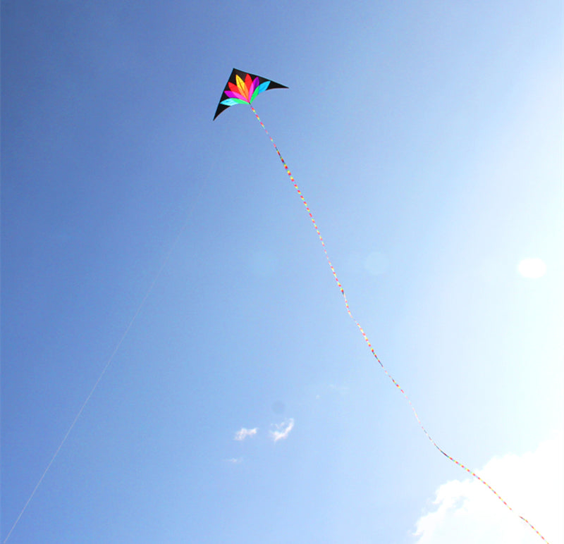 free shipping 2m large rainbow delta kite with 10m tails flying line kids kites factory delta kites windsocks kite string reel