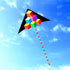 free shipping step by step kite with handle line kite fabric ripstop kite factory kitesurf cerf volant fishing accessories
