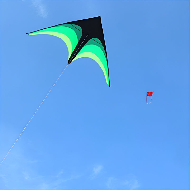free shipping 2m large delta kite flying toys line kids kites factory delta kites flight kite string reel beach wind parrot game