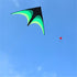free shipping 2m large delta kite flying toys line kids kites factory delta kites flight kite string reel beach wind parrot game