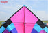 free shipping giant kites flying delta kites for adults kites line kevlar rainbow high kites factory outdoor toys walk in sky