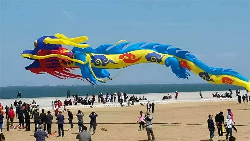 free shipping 15m dragon kite flying for adults kites professional wind kite pendant soft kites traditional kite paraglider