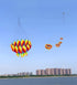 Free Shipping 350cm kite windsocks flying for adults kites shows kites pendant inflatable kites weifang kites Outdoor play flies