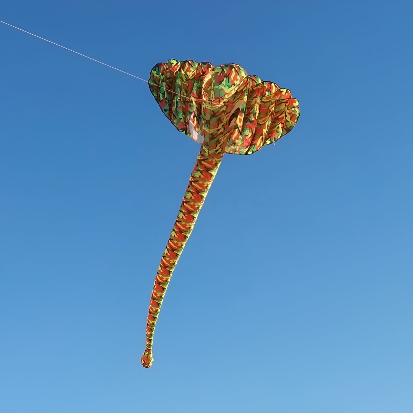 free shipping elephant kite flying toys for kids kitesurf equipment whale kite flying parrot dual line kite winding machine