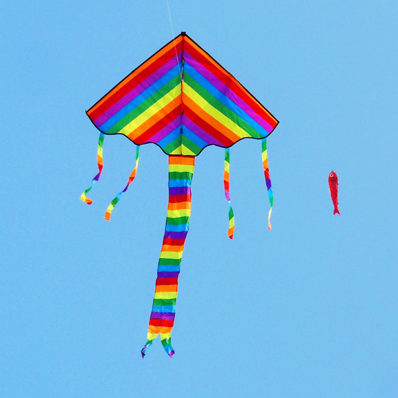 free shipping rainbow delta kites for children kites for kids reel nylon kite butterfly kite factory bird kite string line ikite