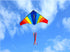 free shipping 180cm rainbow kite flying toys outdoor fun large delta kites windsocks kite string reel for adults kites factory