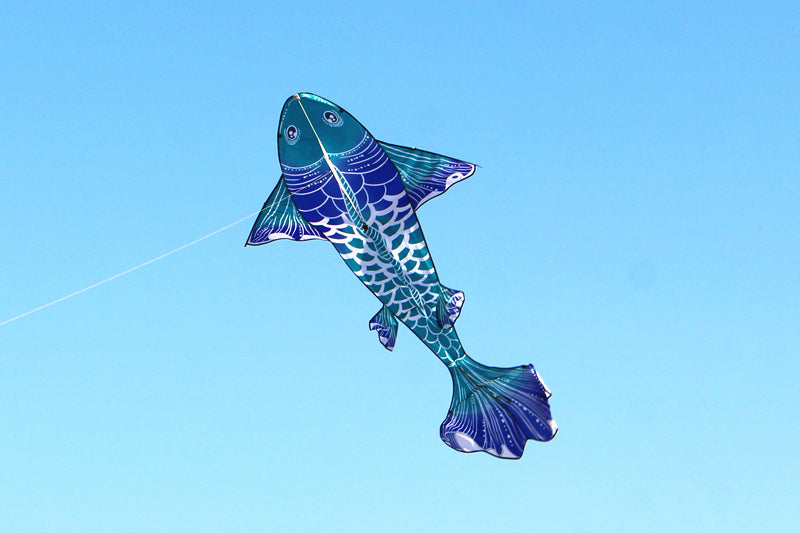 free shipping new fish kites giant kites for adults professional winds kites giant fish fun toys cometa plane wind socks snake