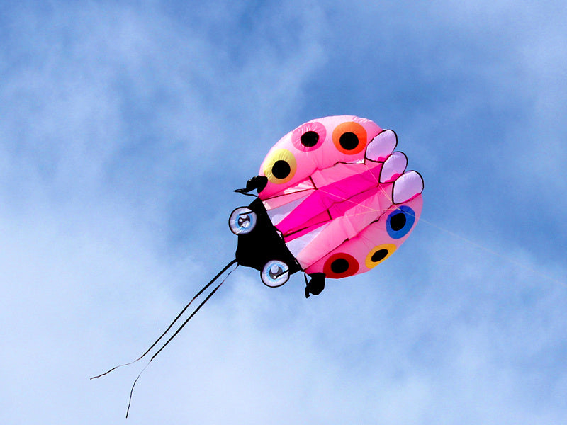 free shipping large ladybug 3D soft kite outdoor flying toys kites for adults vlieger kitesurf kite reel weifang kite factory