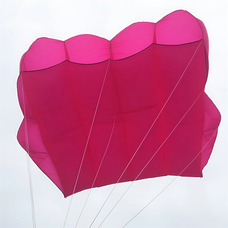 Free Shipping Large Kites flying 24sqm pilot kites flying octopus kites 12 sqm kites winds professional kites for kids outdoor