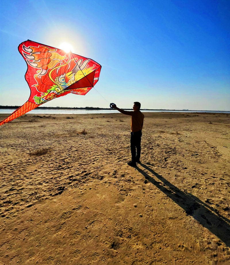 free shipping 100m chinese dragon kite flying handle line large kite snake kites for kids cometas paragliding windsurf