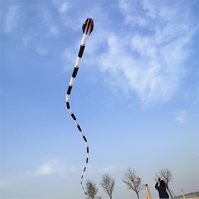 Free shipping professional kites snake soft kites for adults kite flying steering kites inflatable kite show huge kite bird big