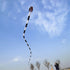 Free shipping professional kites snake soft kites for adults kite flying steering kites inflatable kite show huge kite bird big