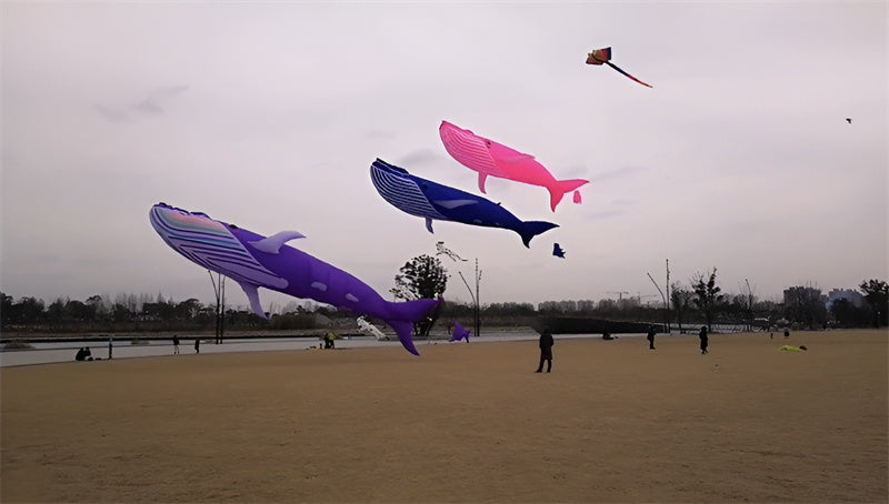 free shipping 17m shark kite flying whale kite pendant outdoor fun sports parachute kites for adults kite wheel folding kites