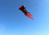 free shipping fish kite flying for adults kites goldfish kite sport professional kites large inflatable kite surf cerf parachute