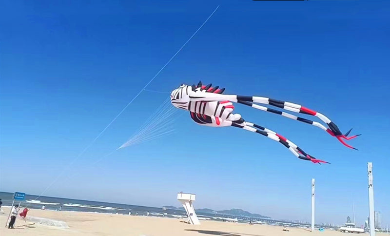 Free Shipping new kites pendant kites shows flying fish kites windsocks Inflatables kites octopus kites trilobites kites factory